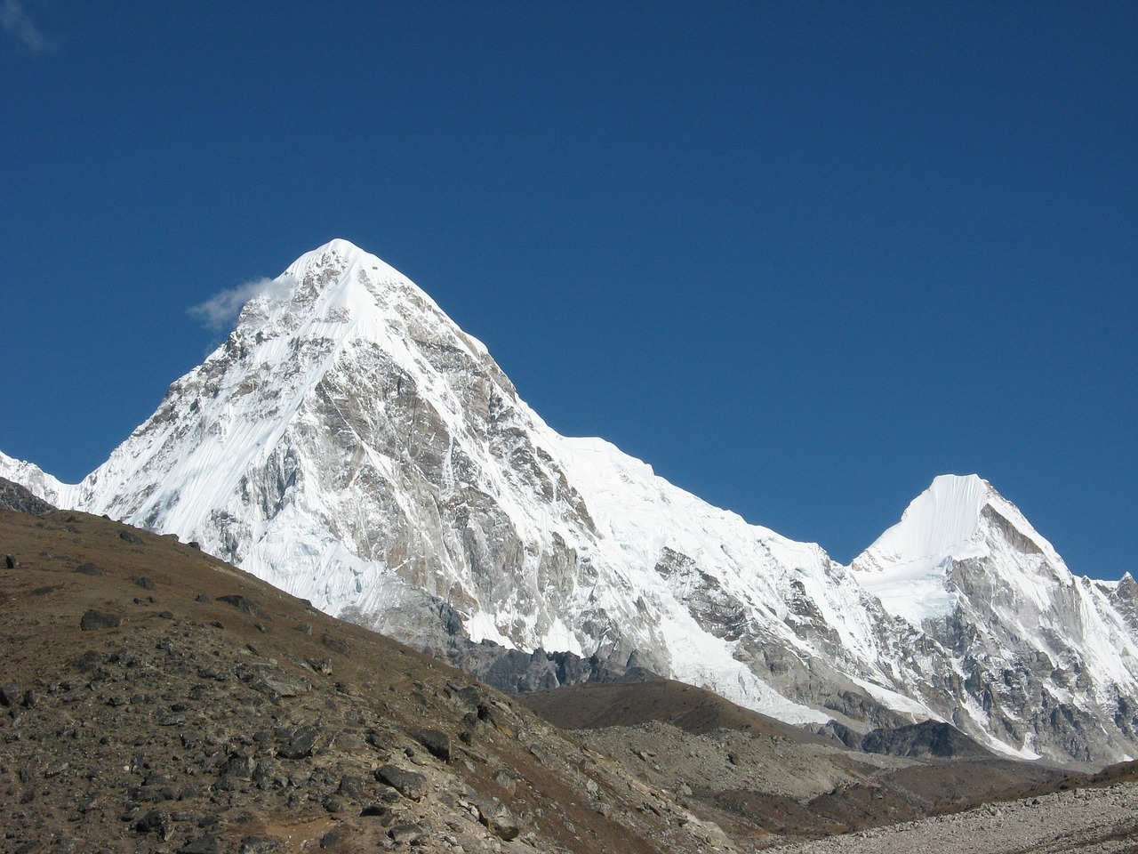 النيبال