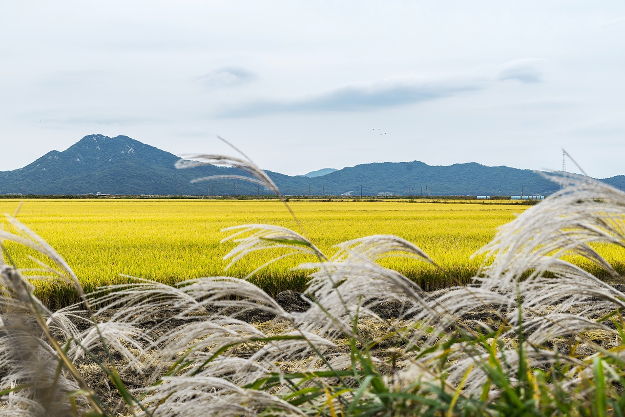 South Korea