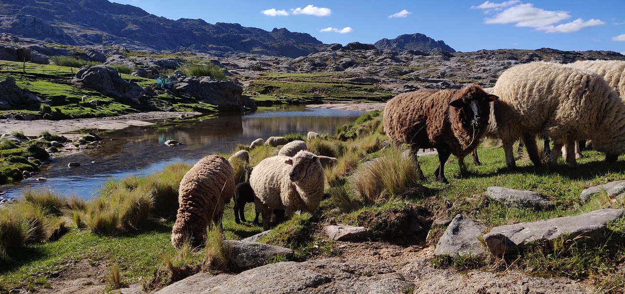 Argentina